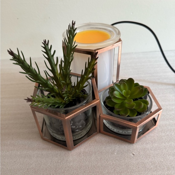 Scentsy Wild Desert Wax Warmer With Box